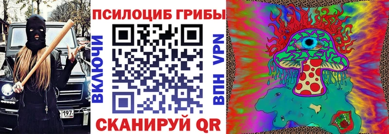 где продают   Димитровград  OMG маркетплейс  Псилоцибиновые грибы Psilocybine cubensis 